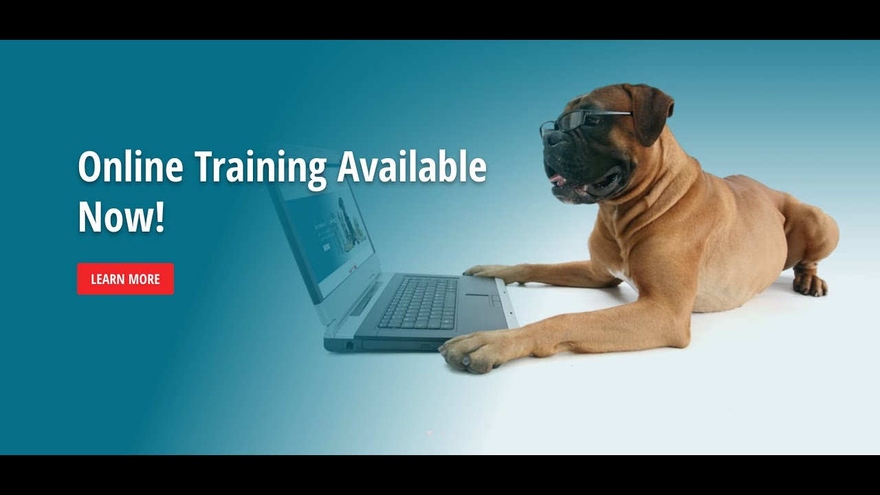 Canine Learning Academy Online Dog Training