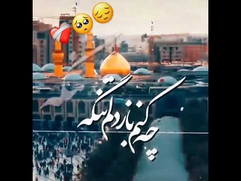 باز دلم تنگ امام رضا