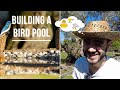 Building a Bird Hide & Bird Pool Vlog | Inspire Wilderness