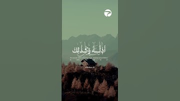 سورة النمل - علاء المزجاجي ❤️