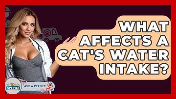 What Affects A Cat