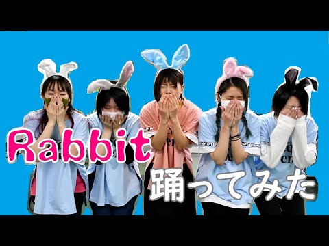 【ダブルダレ】Rabbit 踊ってみた