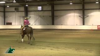 Marilyn Copland & Cassies Chicadual Score 71 at RA Spring Classic