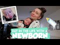 A Day In The Life With A NEWBORN :) MOM VLOG