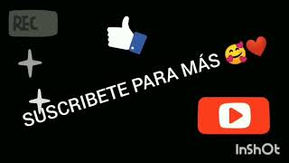 Paula Se Pelean En Un Directo