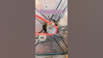 Precision in Motion: Crafting 32mm Torsion Springs