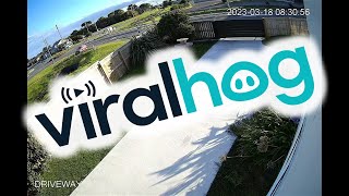 Driver Takes Roundabout Too Fast and Ends Up in the Ditch || ViralHog
