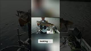 Beauchene Lake Fishing - Walleye, Pike, Bass & More!
