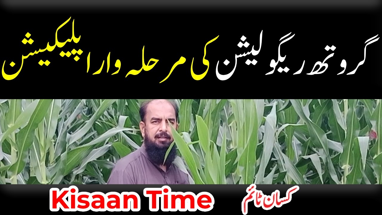 گروتھ ریگولیشن، مرحلہ وار اپلیکیشن kisan time کسان ٹائم