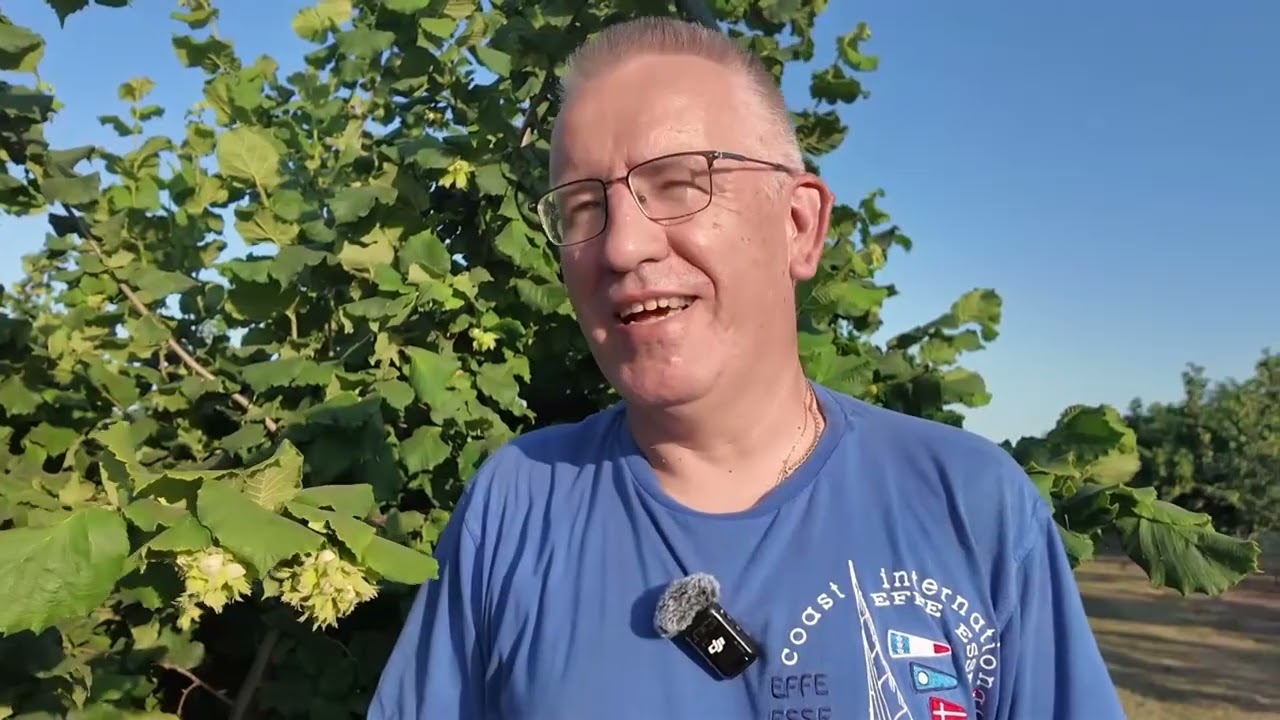 PLANTAZA LESNIKA  - PORODICE MOLDOVANOV U BECEJU -  ZA PRIMER