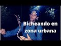 Bicheando en zona urbana | ¡Mira lo que encontré! | Campus para la cultura las artes y el deporte UV