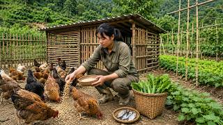 Build A Peaceful Farm Life 🐔 Feeding Chickens & Gardening In The Mountains | Simple DailyLife