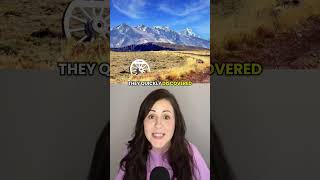 The Welsh Community In Patagonia  patagonia welshhistory argentina history
