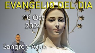 Evangelio Del Dia Hoy - Jueves 16 de Octubre 2025- Sangre y Agua