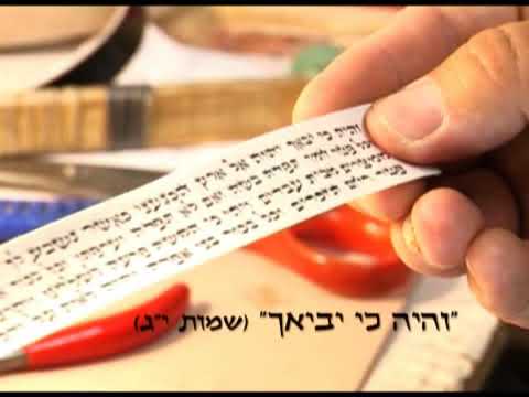 וִידֵאוֹ: אופן הכנת בתי הספר ל -1 בספטמבר