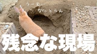 親方も納得できず！？新しい仕事は残念な現場でした　No.1082