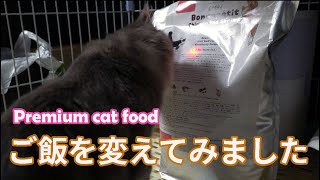 【猫癒し】ご飯をロイヤルカナンからtamaのボナペティへ変更してみた～ 生後約8ヶ月のサイベリアンのみーな