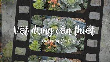 071 VẬT DỤNG CẦN THIẾT khi làm vườn sân thượng, thông tin cơ bản và quan trọng nhất để làm vườn tốt