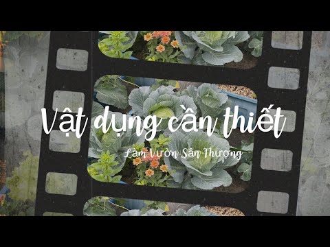 Video: Khởi Đầu Làm Vườn - Những Lý Do Tuyệt Vời Để Bắt Đầu Làm Vườn