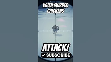 When Murder Chickens Attack! Western Capercaillie gets a little too cocky!