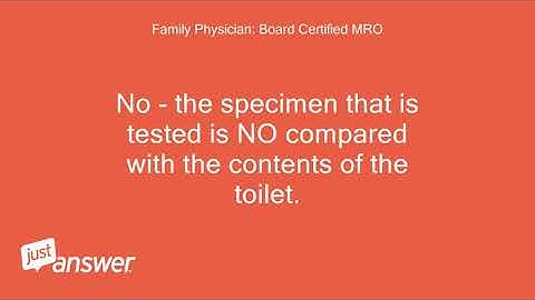 What is the blue dye put in the toilet during drug screening?