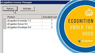 eCognition Under the Hood: Online return