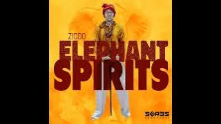 ZIDDO - Elephant Spirits || Afro House Source | #afrohouse