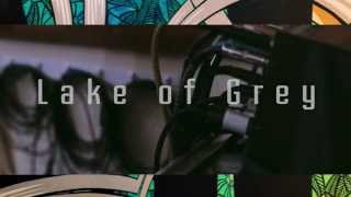 Tree No Leaves Lake Of Grey Live : Sixtyten Sessions