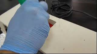 PPT I Cycle 2 Experiment 3 Quality Control of Tablets Practical Session