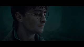 Harry Potter and the deathly hallows | Hallelujah