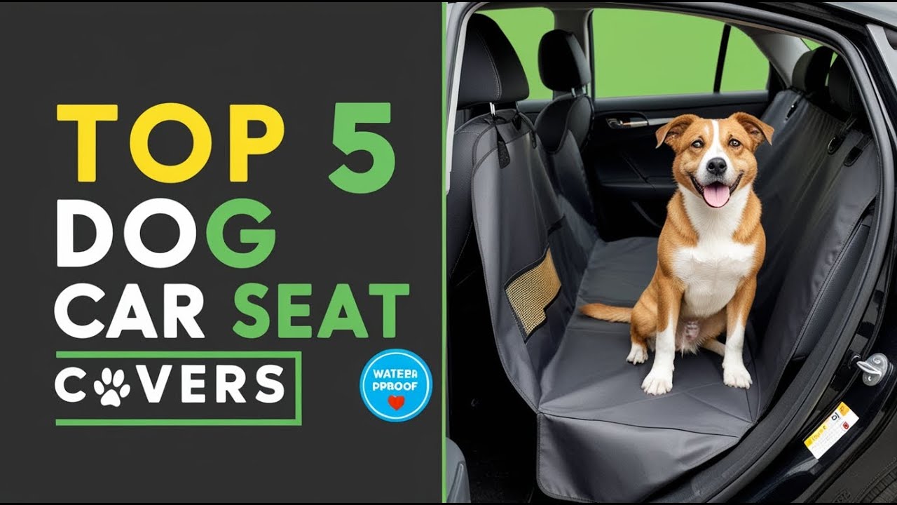 Top 5 Best Dog Car Seat Covers You Can Buy in 2026 🐶🚗