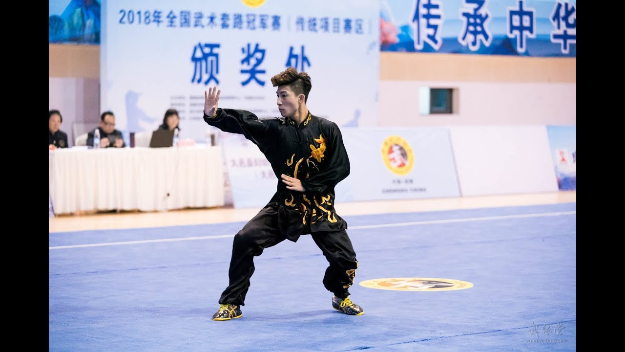 Men's Xingyiquan 男子形意拳 第1名 北京 郭子嘉 8.88分 beijing guozijia