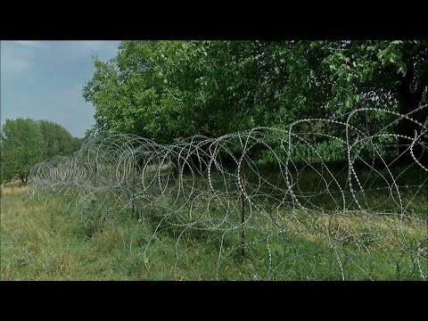 ზაზა გახელაძის  ტყვეობის   მე-7 დღე