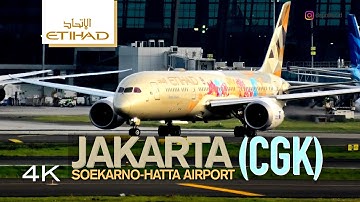 Etihad Special Livery