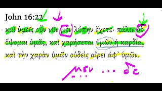John 16:22