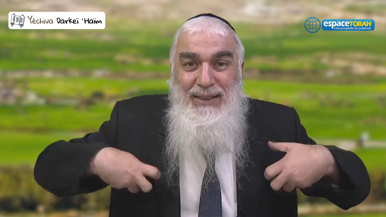 203. Comment faire le choix de la Torah ?