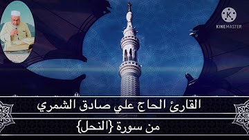 القارئ الحاج علي صادق الشمري من سورة {النحل}