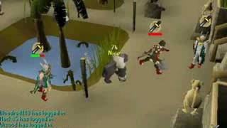 Rs2 Runescape Dh Maxing