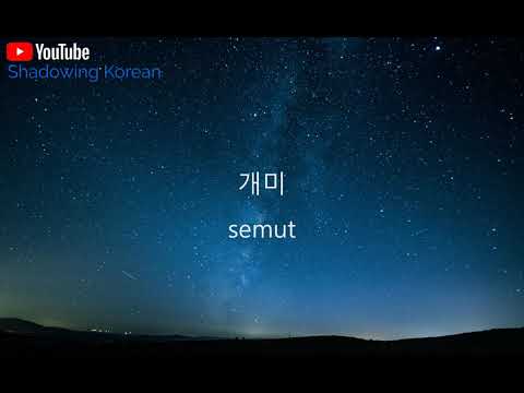 인도네시아어 기초표현 단어 배우기 #36