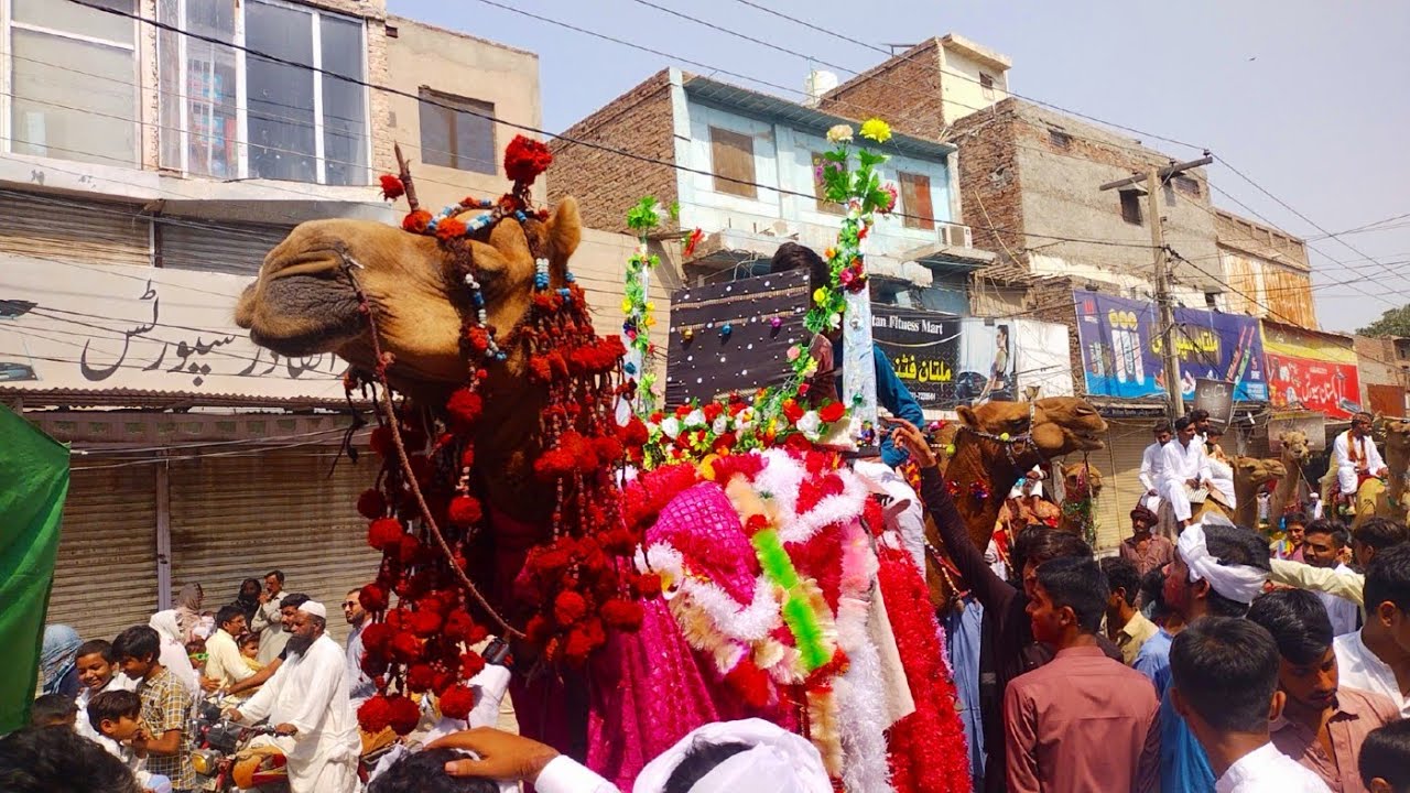 How are the Muslims of Pakistan Celebrating the 12 Rabi ul Awal? | Eid Milad un Nabi 2023