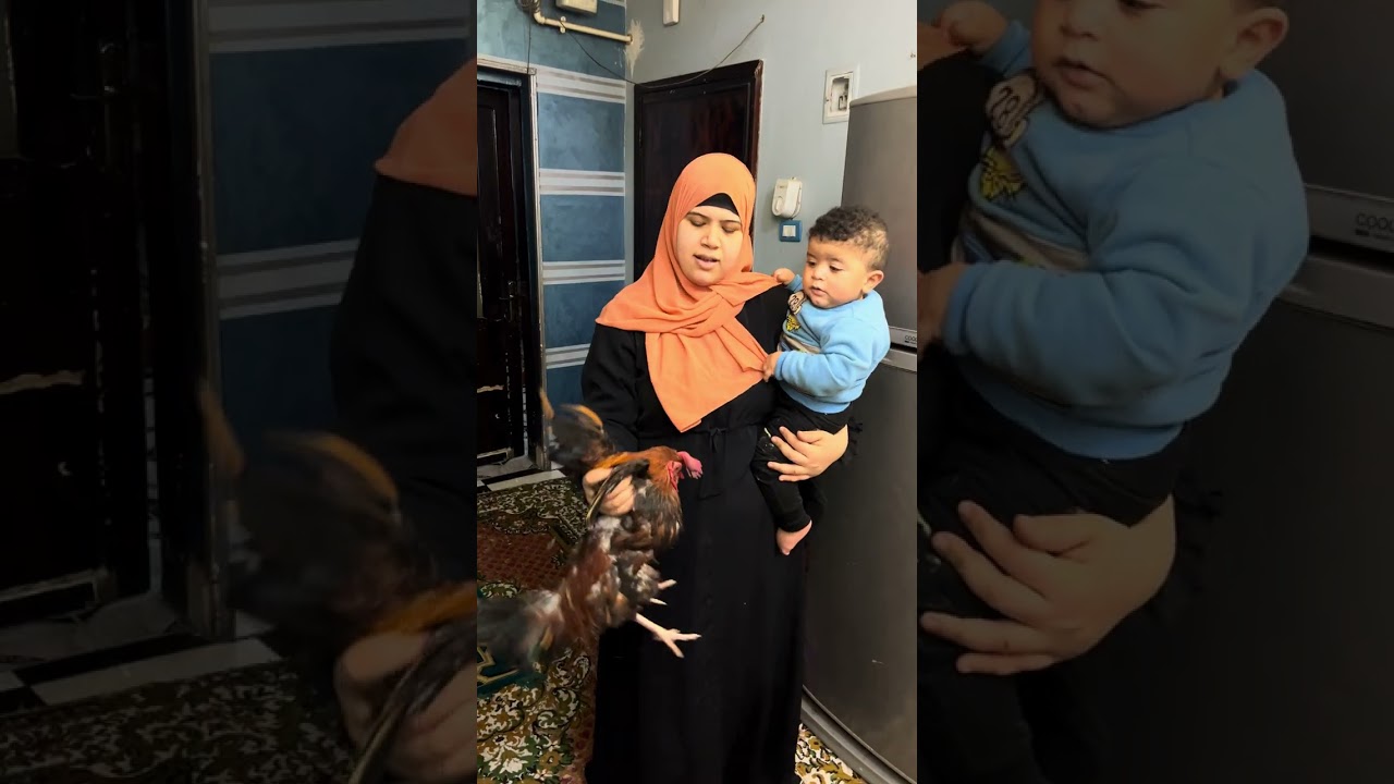 هند سابت البيت ليه 