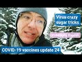 Virus crazy sugar tricks - COVID-19 mRNA vaccines update 24