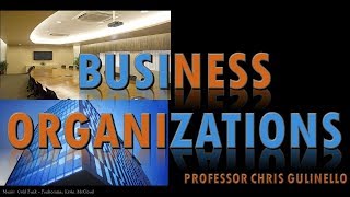 Business Organizations (3A-500):  Entity Selection - Business Entity Tax 2