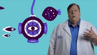 (Audio Described) Ask a Scientist: Sharks and Barks