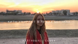 КИТЫ УМИРАЮТ В ЛУЖАХ БЕНЗИНА