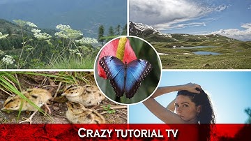 Animated Photo Collage Template in Powerpoint