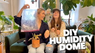 Creating a DIY Humidity Dome to Bring Your Plant Back to Life