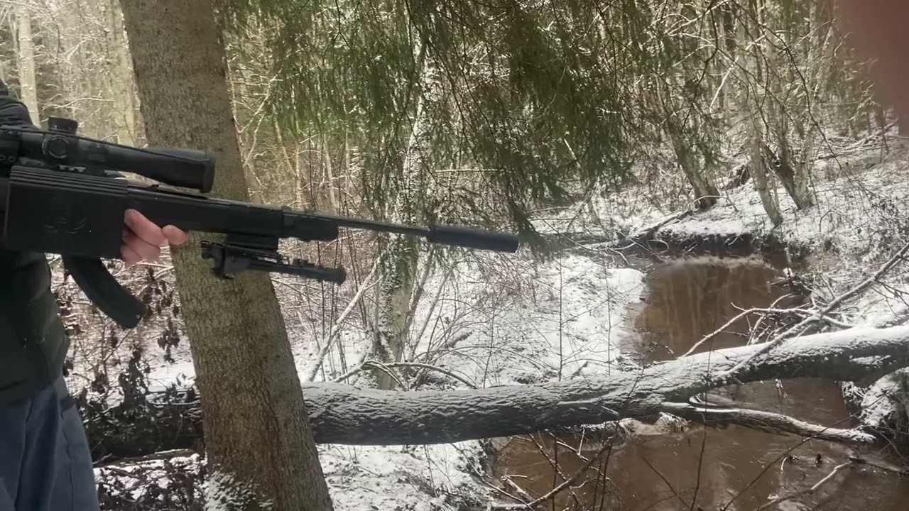 Ruger 10/22 brasscatcher