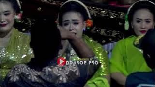 TAYUB NGANJUK TERBARU  DARSIH &  DWI SONGO - PEPELING - PODANG KUNING - KELINCI UCUL - MARI KANGEN