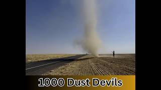 1000 Dust Devils
